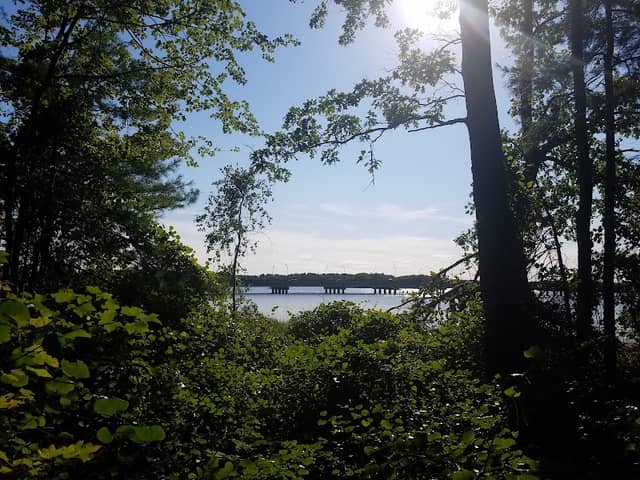 Bellamy River Access Wildlife Preserve - Image 2