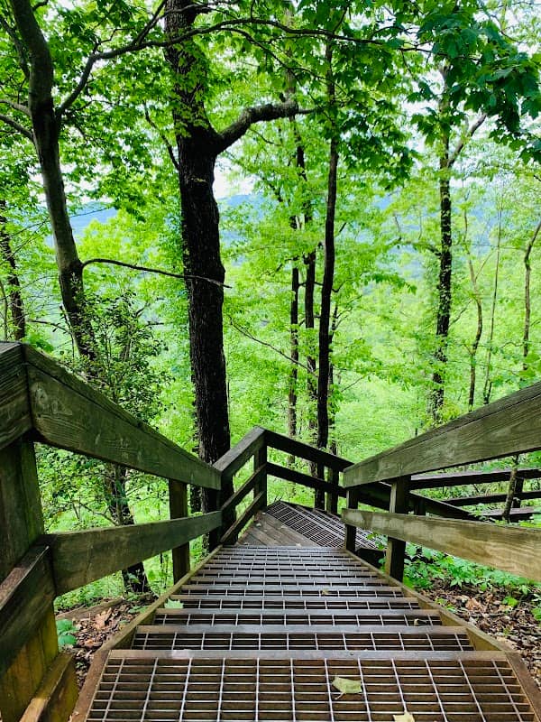 Amicalola Upper Falls Observation Platform - Image 3