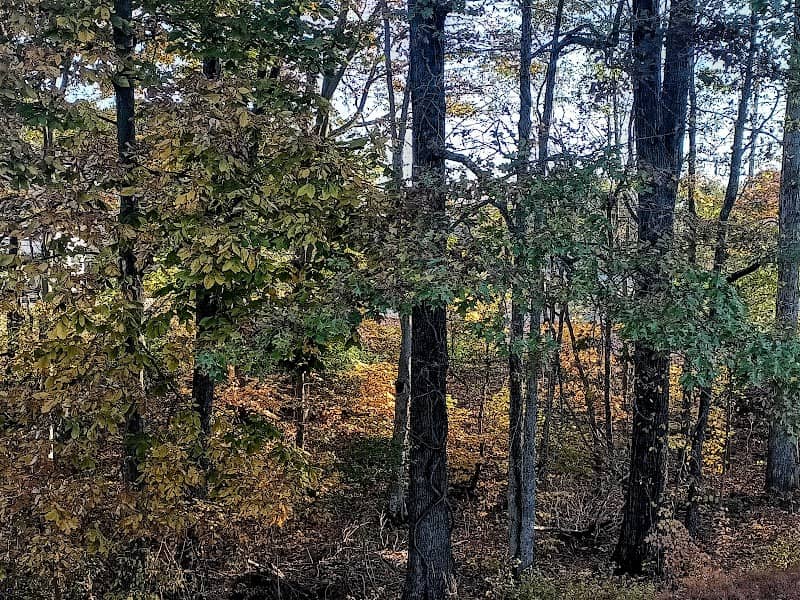 Johnson Falls - Image 2