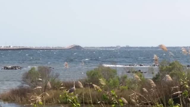 Project Greenshores - Image 2