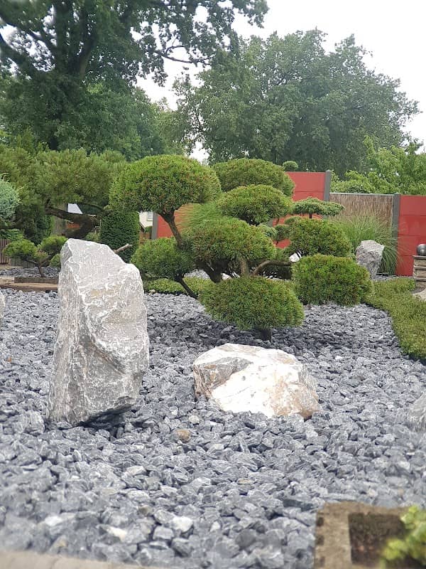 Gartenbonsai Bomlitz - Image 1