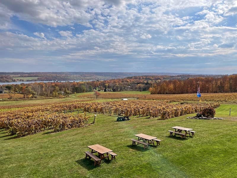Vineyard View Winery - Image 2