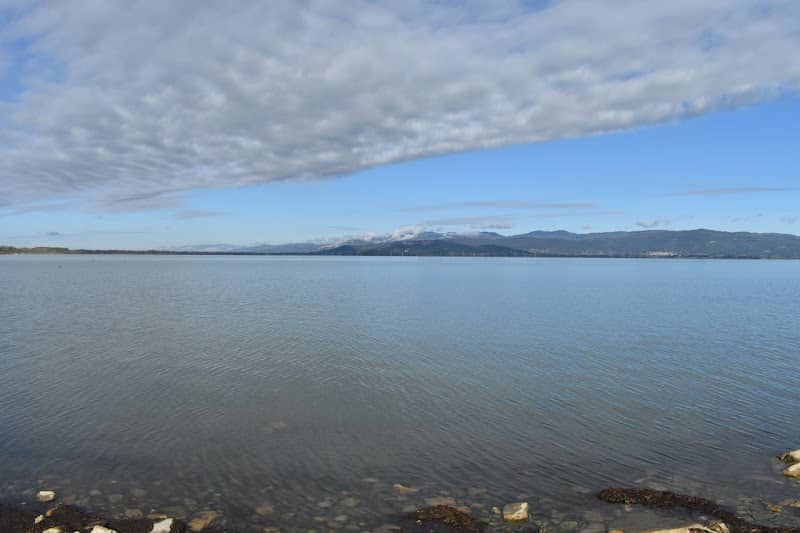 Riva Lago Trasimeno - Image 1