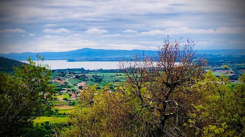 Riva Lago Trasimeno - Image 3