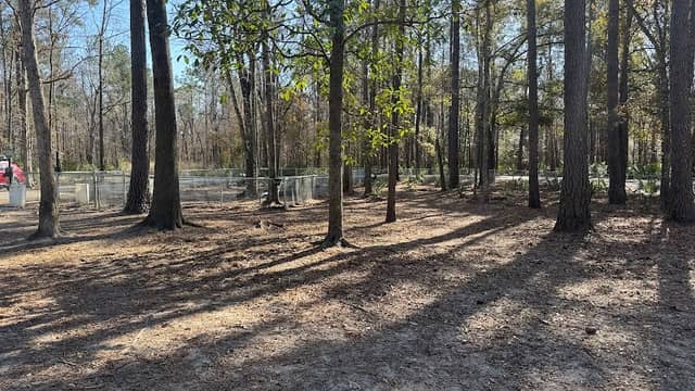 Tom Triplett Dog Park - Image 1