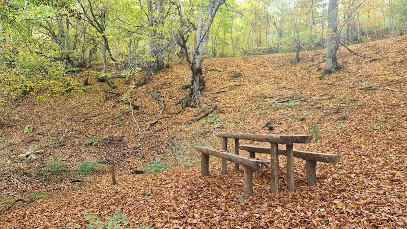 Fântâna de Piatră - Image 1