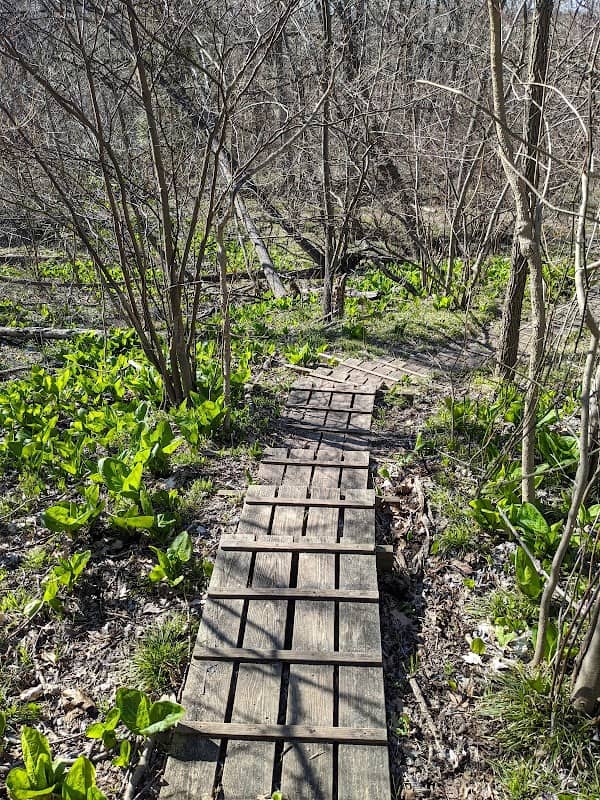 The Forested Fen Nature Preserve - Image 1