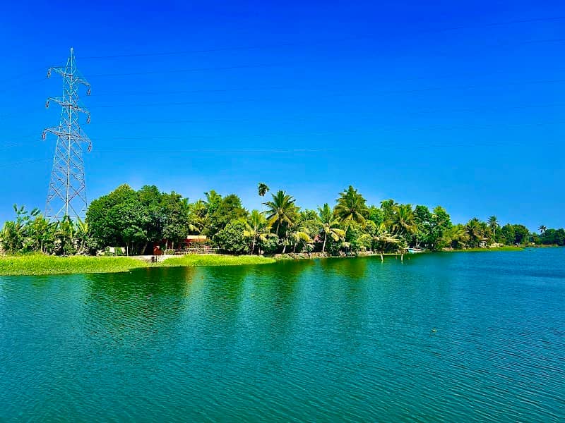 Pallathuruthi (പള്ളാത്തുരുത്തി) view point - Image 1