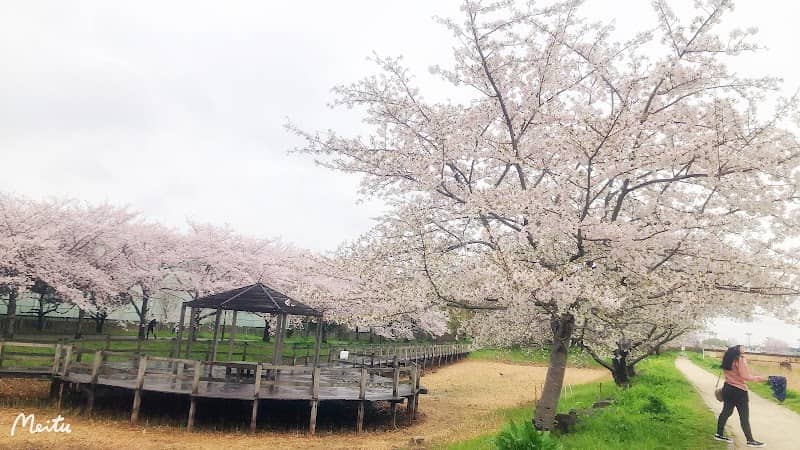 Kawakubo Park - Image 1