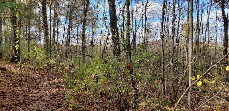 Brighton Recreation Area - Image 2