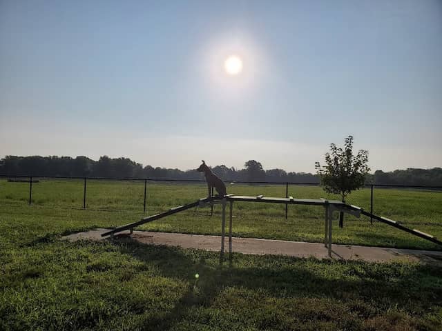 Veterans Memorial Park - Image 2