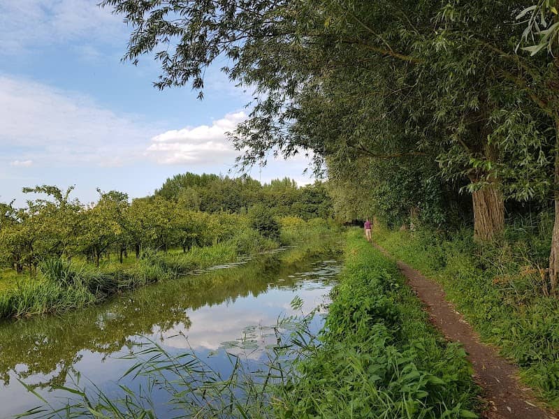 Dierenweide Geindijk🪿 - Image 1