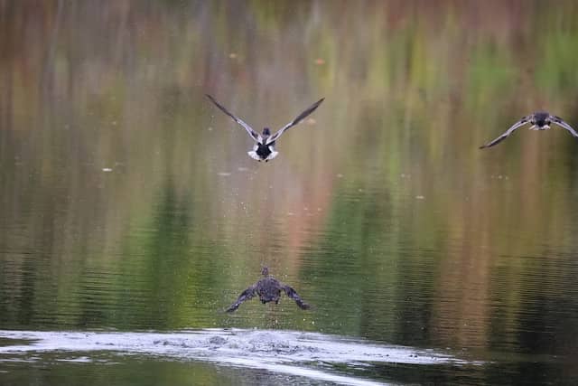 Lamprey River Preserve - Image 1