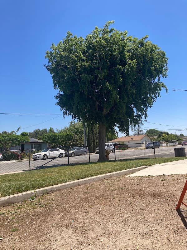 Primavera Park - Image 2