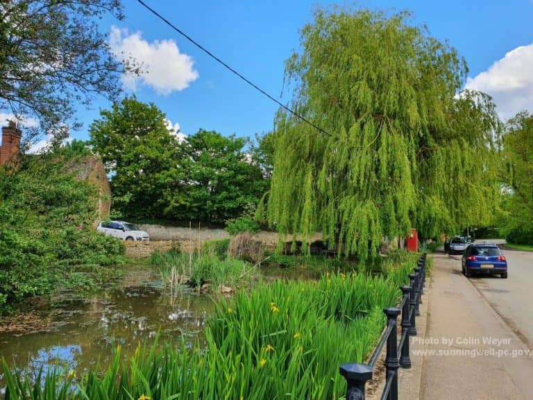 Sunningwell Pond - Image 1