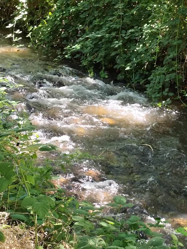Powerhouse Stream - Image 1