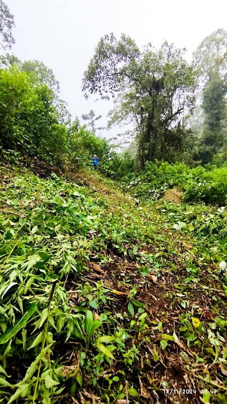 Bukit Darma - Image 2