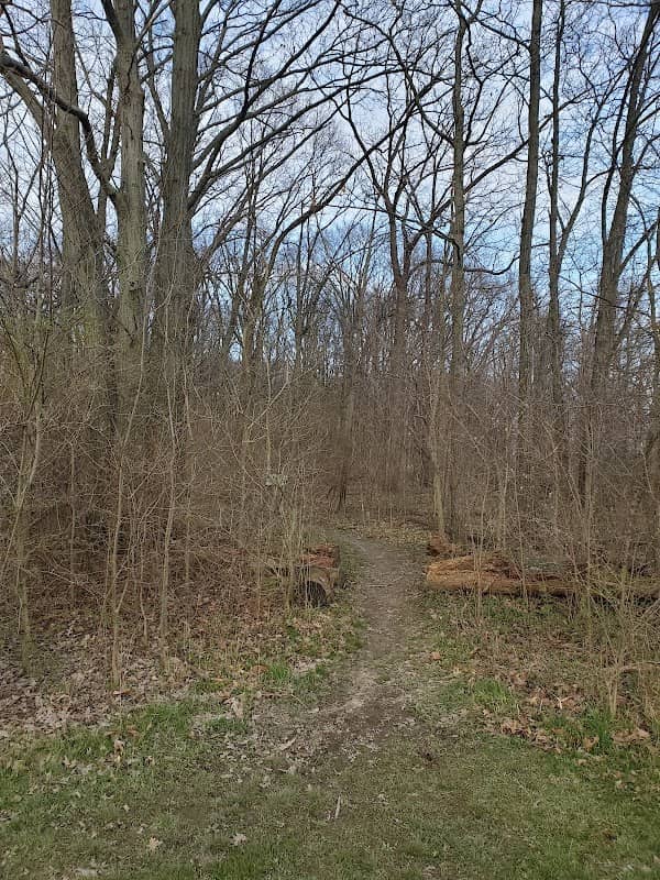 Burnett Woods - Image 2