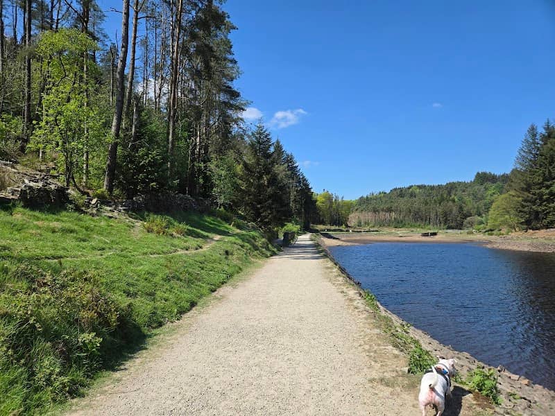 Entwistle Reservoir - Image 2