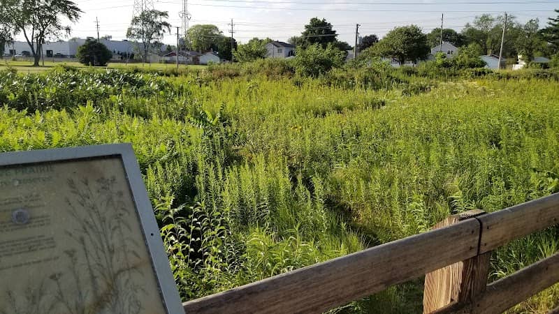 Morton Grove Prairie Nature Preserve - Image 2