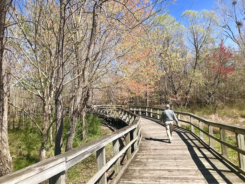 Cashie River Boardwalk - Image 1