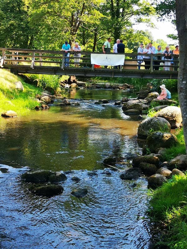 Opfersteg - Brücke - Image 1
