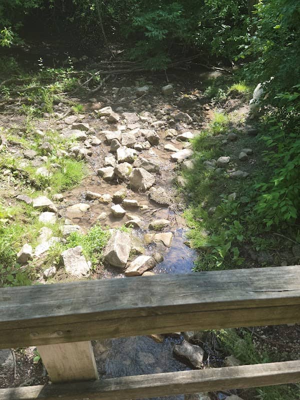 Mequon dog park - Image 2