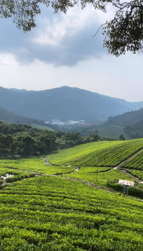 Coonoor Hill Station - Image 1