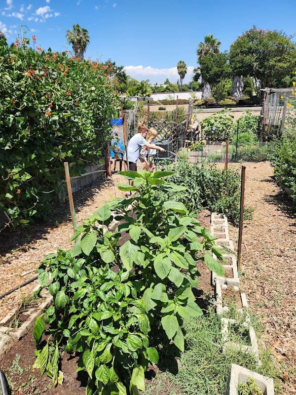 Escondido Community Garden - Image 1