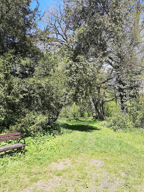 Park pałacowy - Image 1