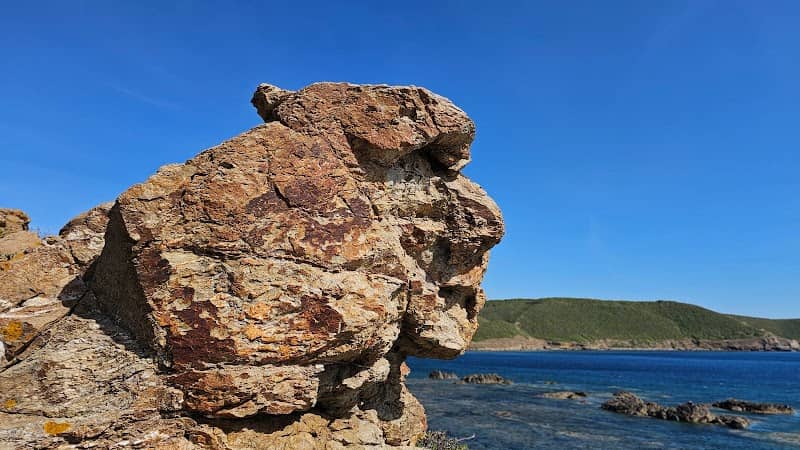 Sa lionissa - Image 1