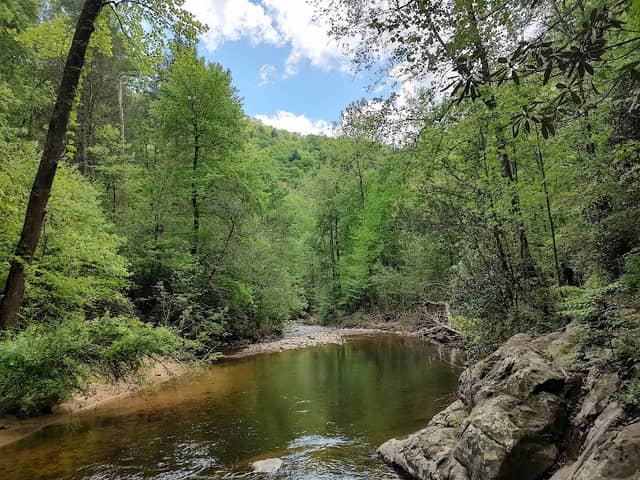 Laurel Falls Trailhead and Appalachian Trail - Image 2