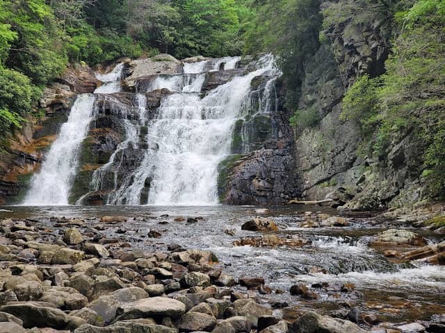 Laurel Falls Trailhead and Appalachian Trail - Image 3