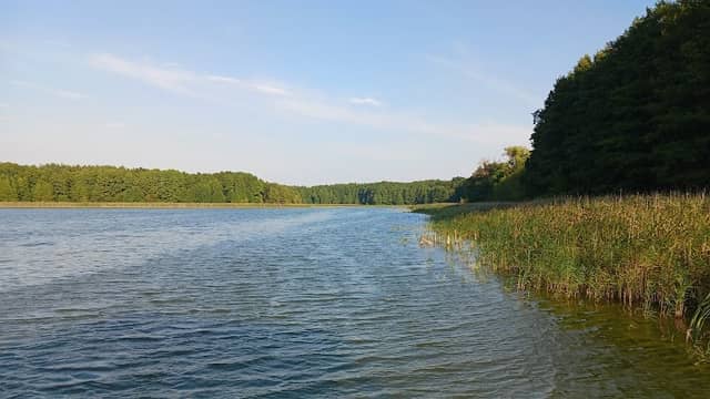 Plaża z punktem widokowym - Image 2