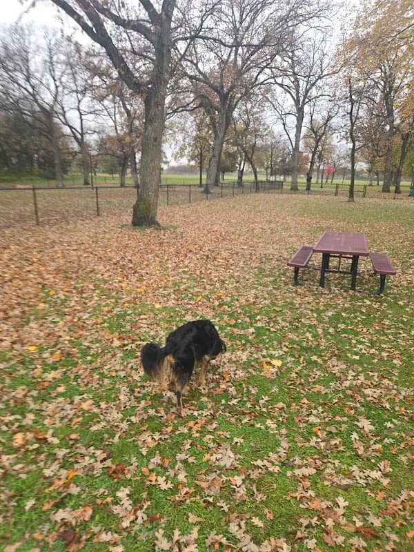 Otsego Dog Park - Image 2