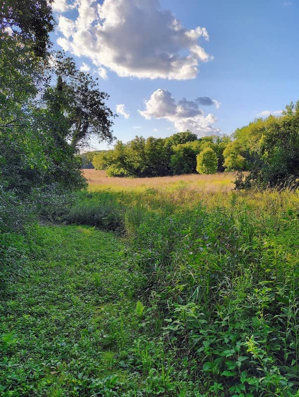 Aster's Prairie - Image 2