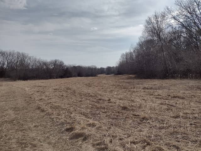 Aster's Prairie - Image 3