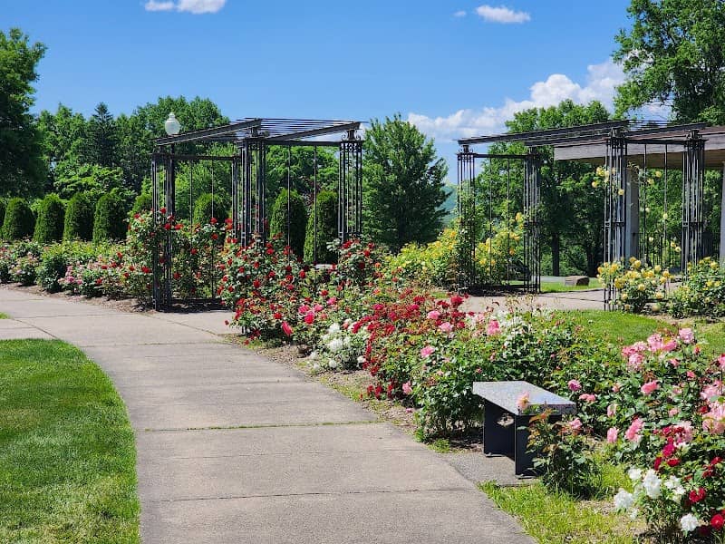 Walnut Hill Park Rose Garden - Image 2