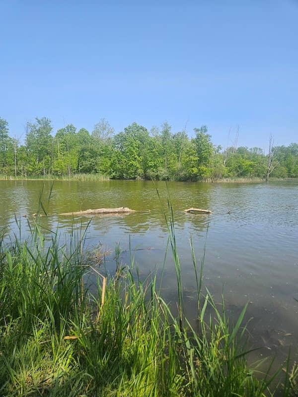 Klam Rd Fishing Site - Image 1