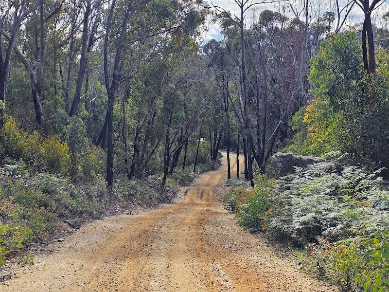 Bicentennial trail: Crown Creek fire trail - Image 2