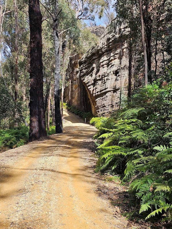 Bicentennial trail: Crown Creek fire trail - Image 3