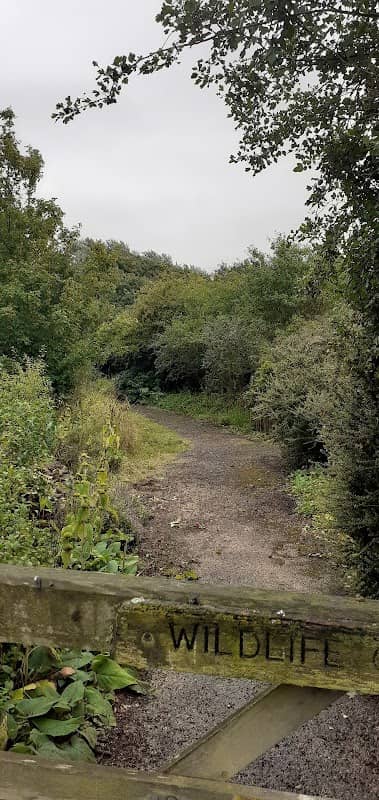 Wildlife Garden - Image 2