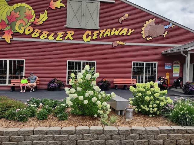 Gobbler Getaway - Image 1
