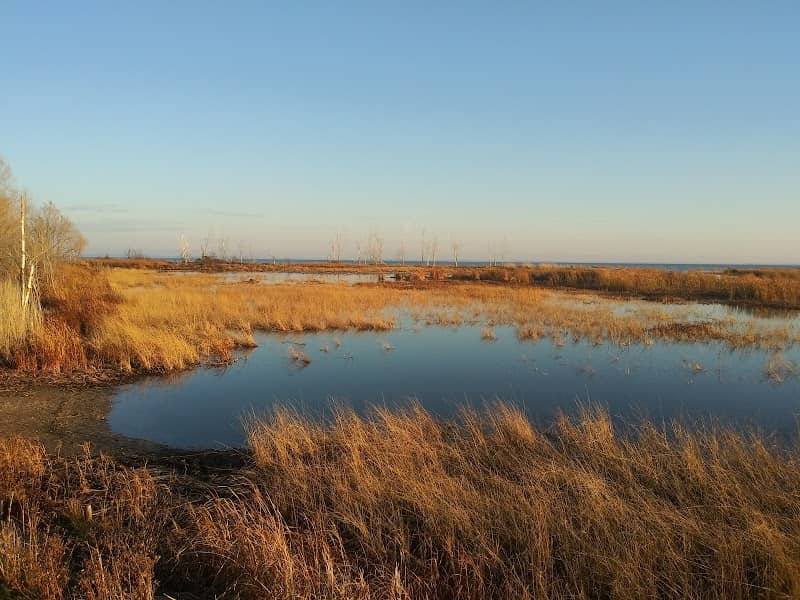 Peshtigo Harbor Wildlife area - Image 2