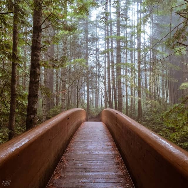 Lady Bird Johnson Grove Trail - Image 2