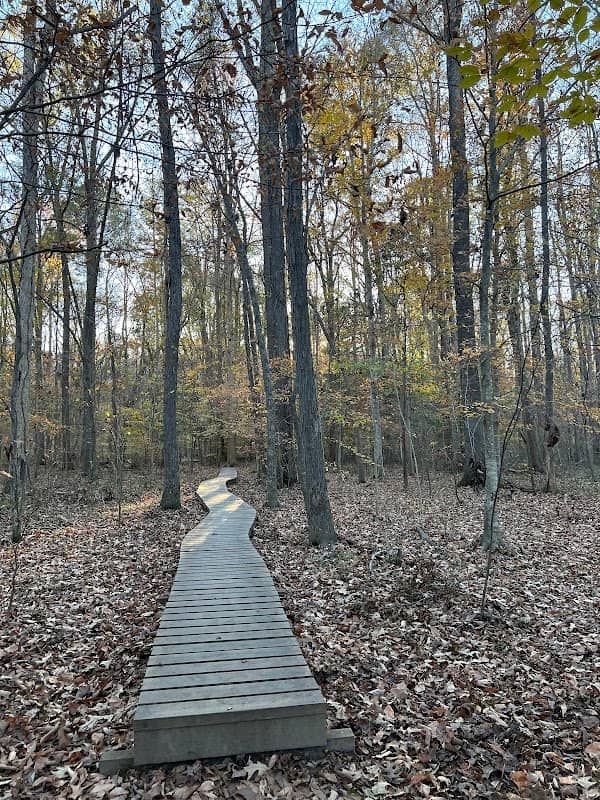 Swift Creek Bluffs Nature Preserve - Image 3