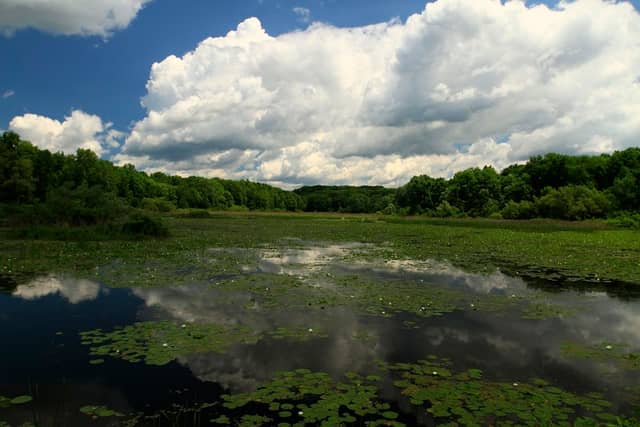 Howland's Island Wildlife Management Area - Image 1