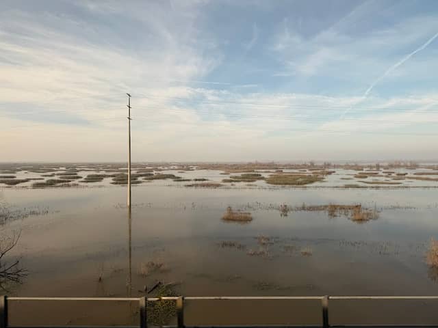 Davis Wetlands - Image 1
