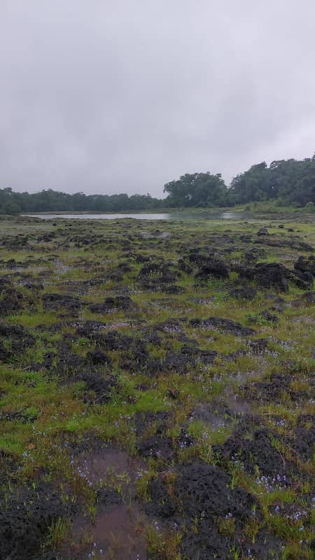 (Near Kamalashile) View point - Image 1