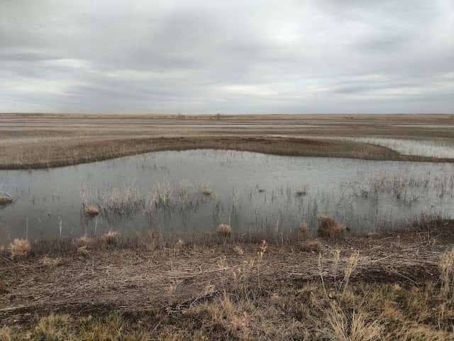 Stewart Marsh Observation Deck - Image 1